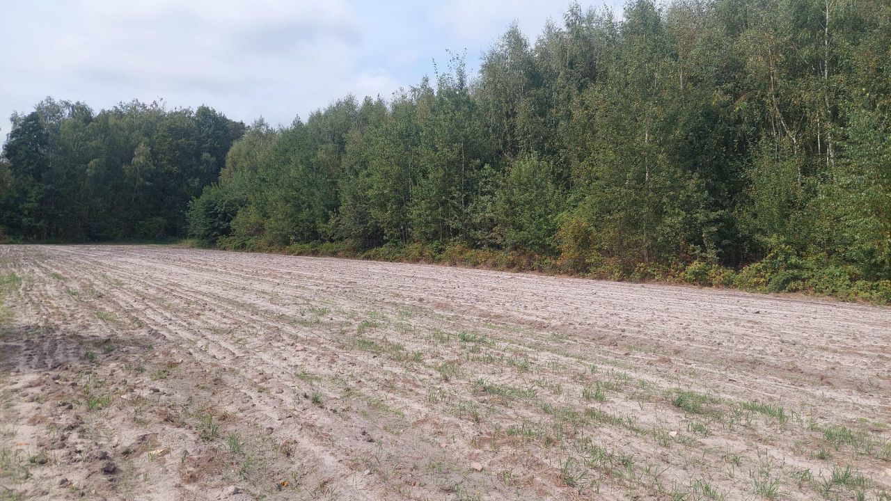 Działka budowlana Łobódź. Zdjęcie 7