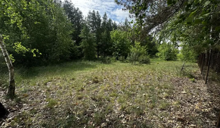 Działka Ługowiska