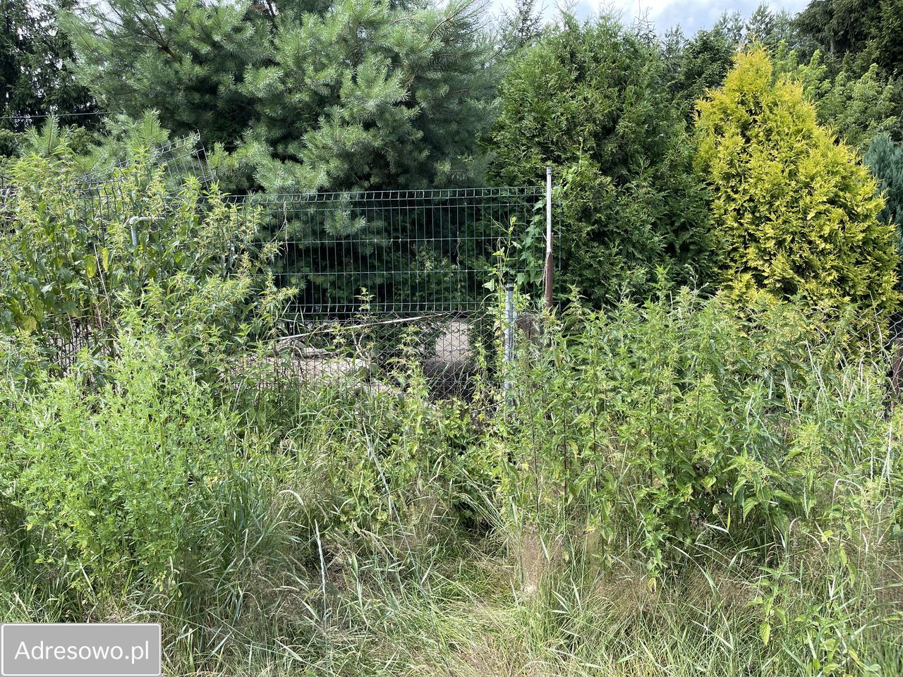 dom wolnostojący, 3 pokoje Nadma. Zdjęcie 2