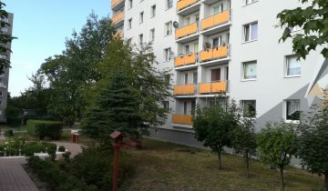 Mieszkanie 2-pokojowe Zielona Góra Centrum, ul. Lisia. Zdjęcie 1