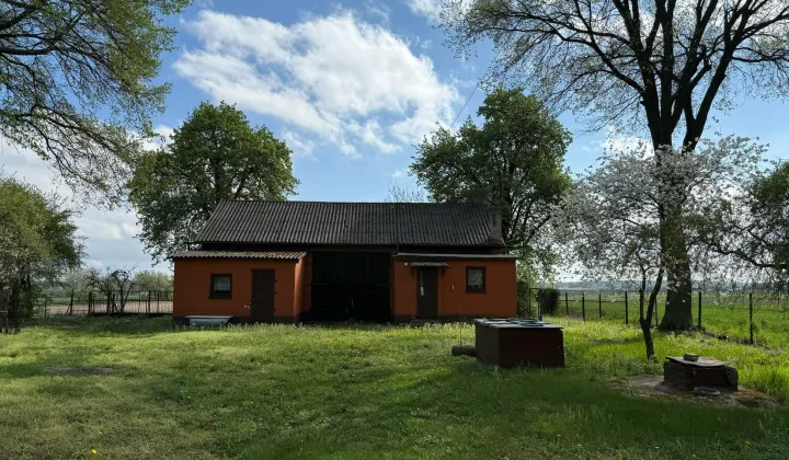 Działka siedliskowa Domaniewice Szerokie Pole, ul. Szerokie Pole