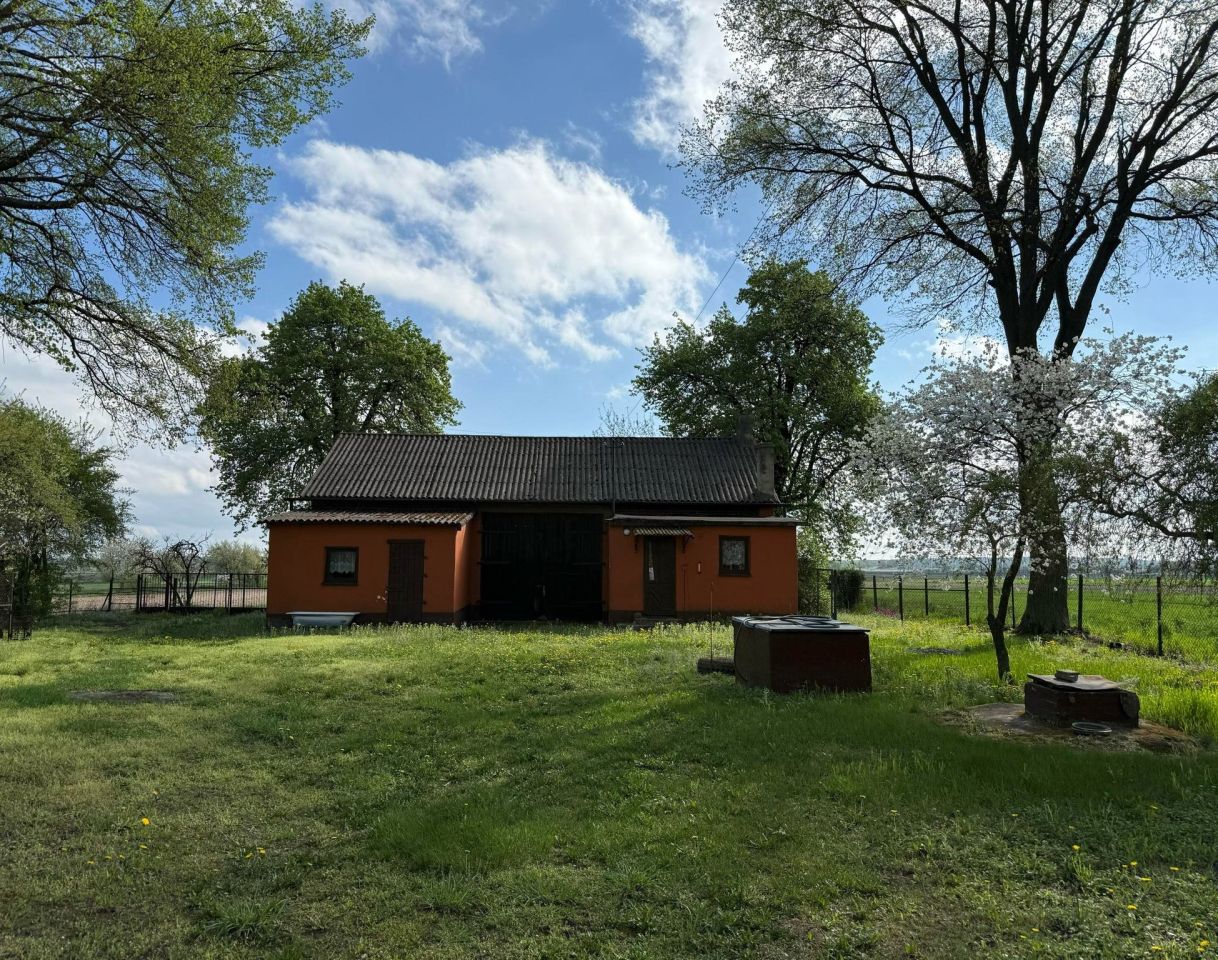 Działka siedliskowa Domaniewice Szerokie Pole, ul. Szerokie Pole