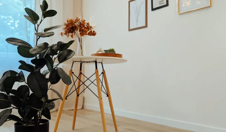 Mieszkanie 3-pokojowe Zielona Góra, ul. Chmielna