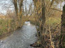 Działka rolno-budowlana Poskwitów Stary Poskwitów, ul. Na Błonia. Zdjęcie 4