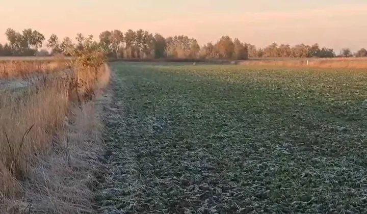 Działka budowlana Nowe Faszczyce