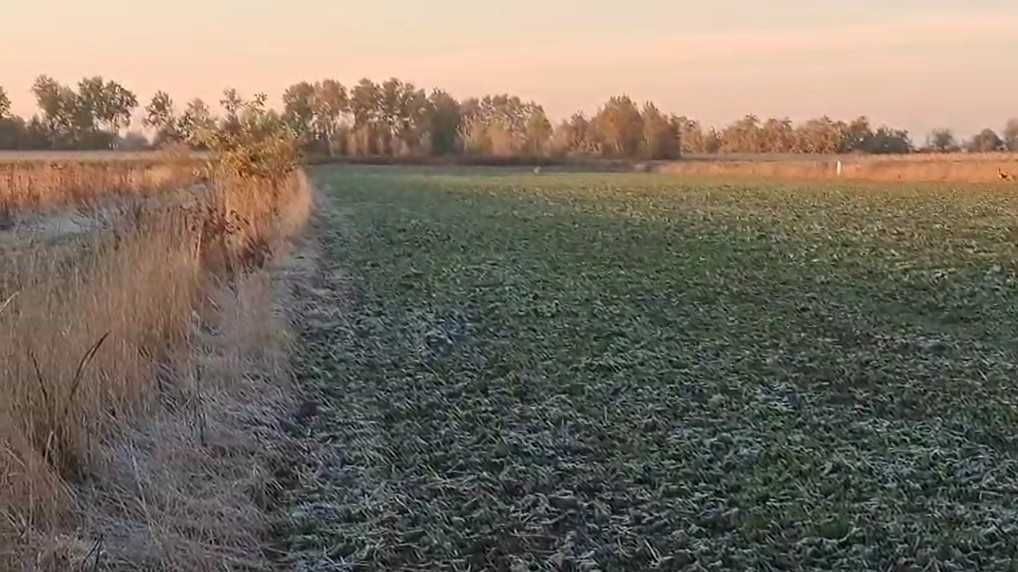 Działka budowlana Nowe Faszczyce