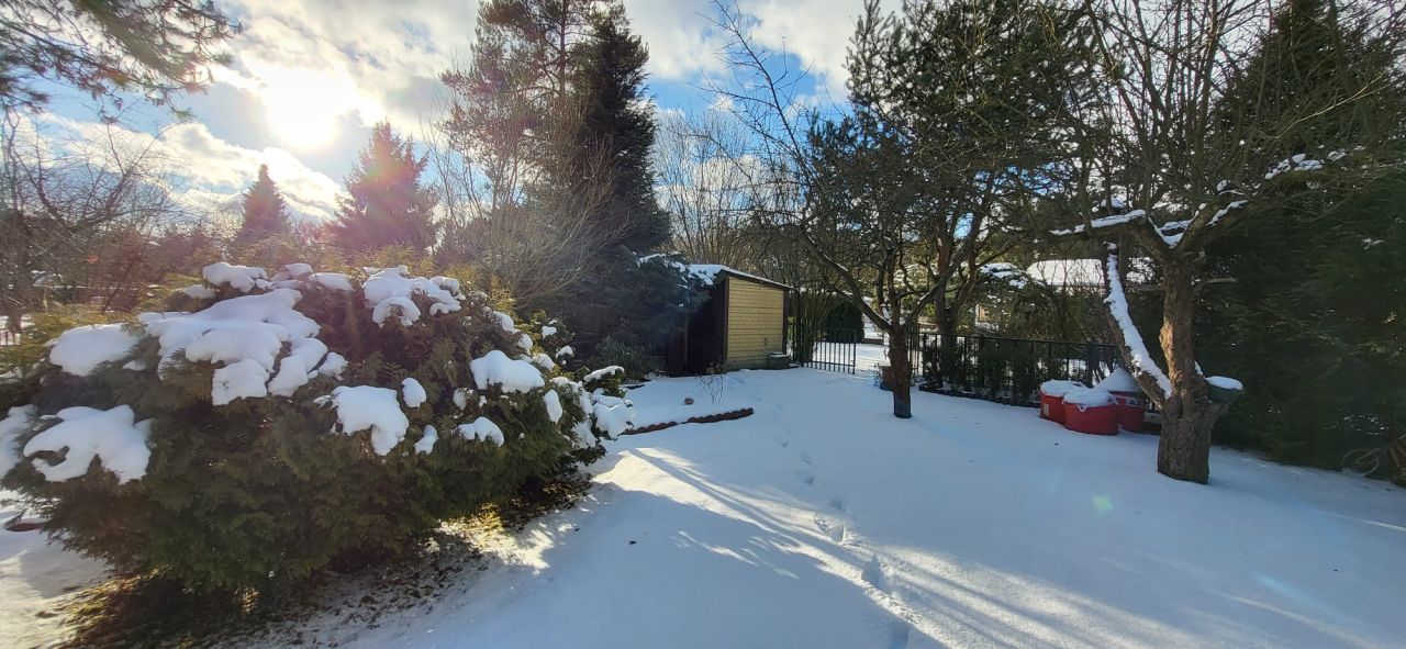 Działka rod Romanów, Romanów 18A. Zdjęcie 11