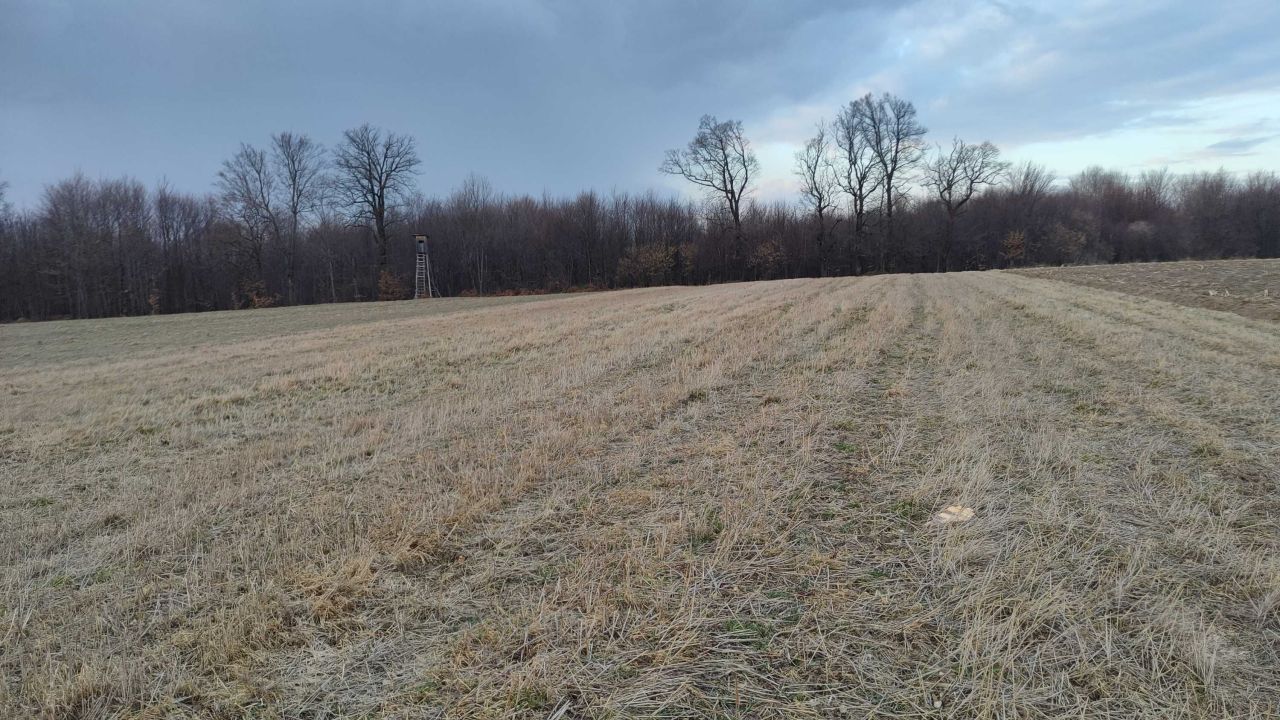 Działka rolno-budowlana Maćkowice Wola Maćkowska. Zdjęcie 4