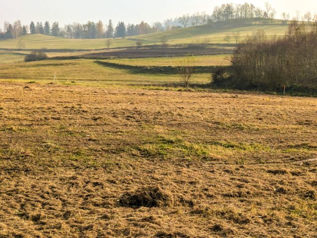 Działka budowlana Ptaszków. Zdjęcie 1