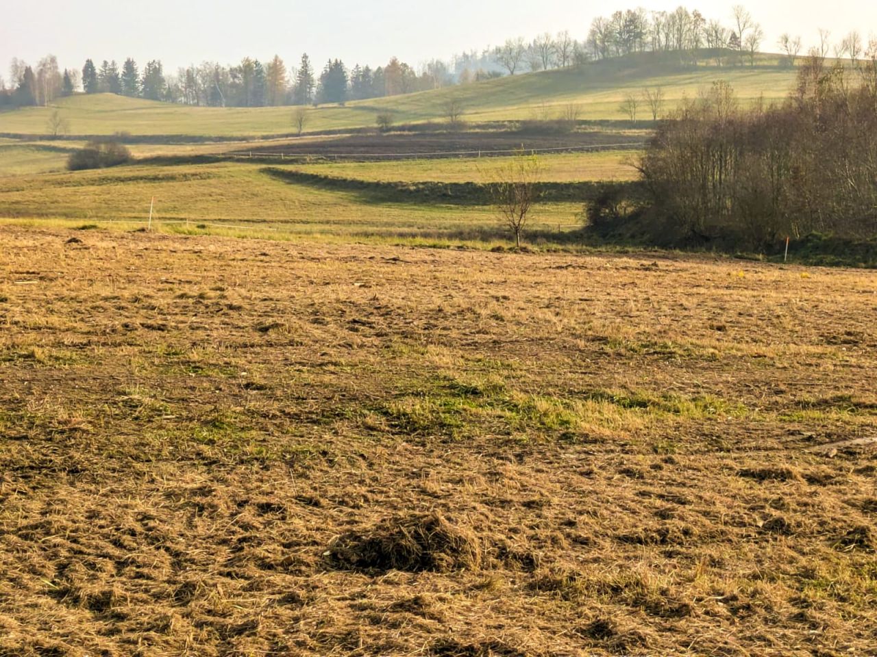 Działka budowlana Ptaszków