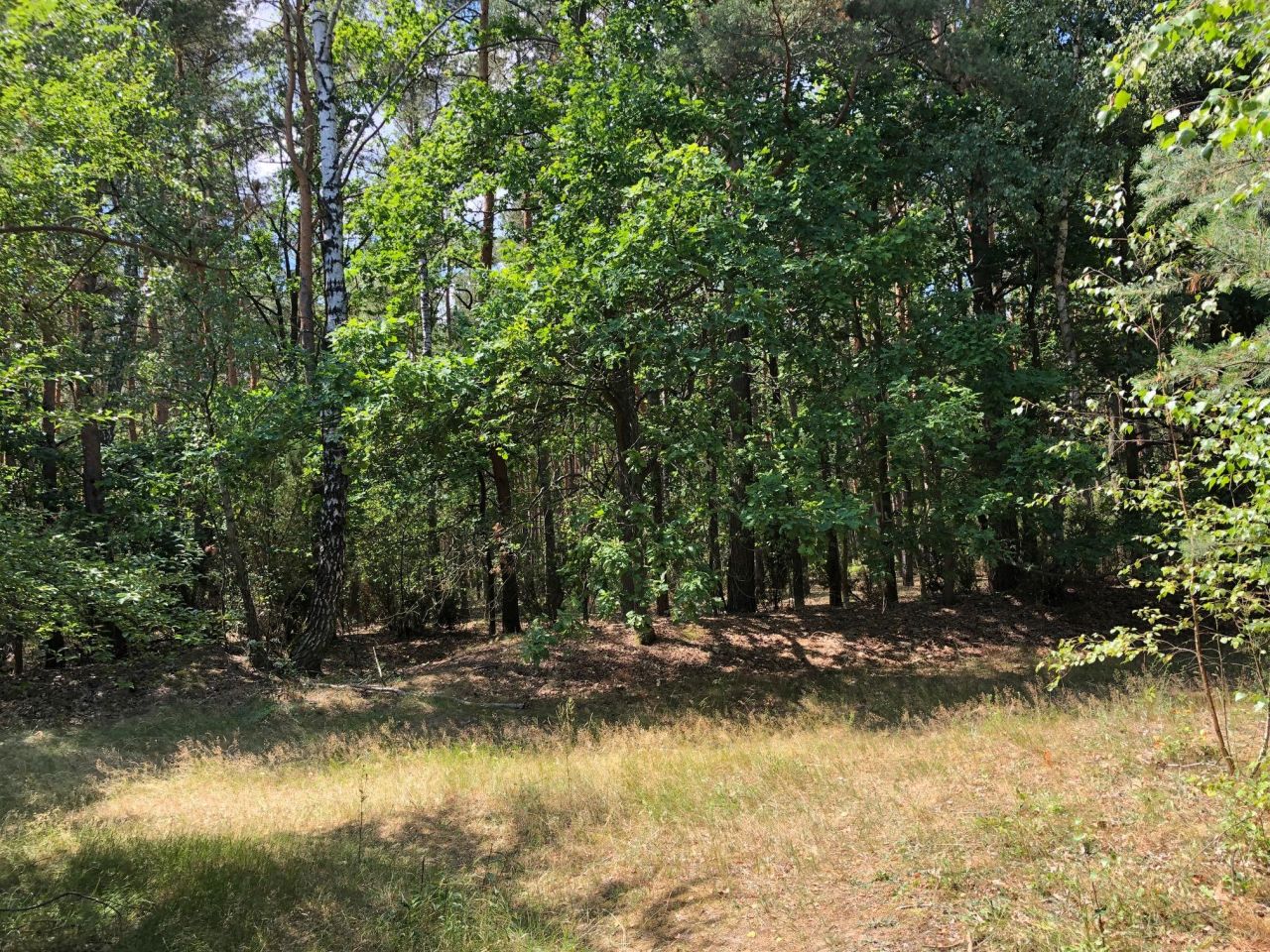 Działka inwestycyjna Nieporęt, ul. Stokrotki. Zdjęcie 8