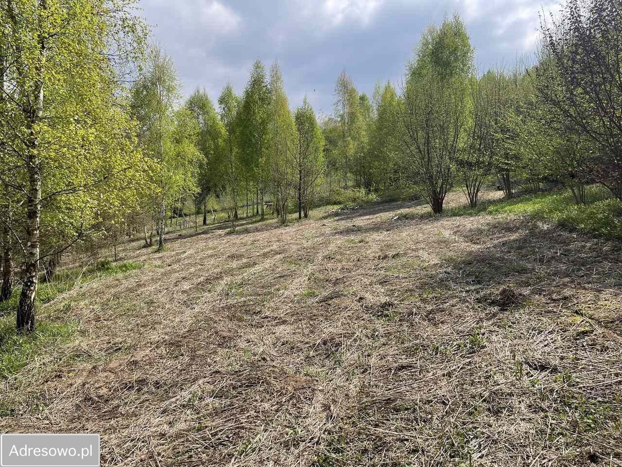 Działka budowlana Kazimierz Dolny. Zdjęcie 7