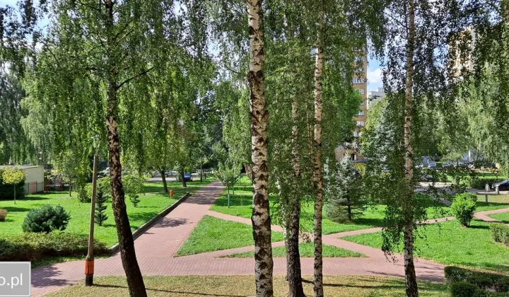 Mieszkanie 3-pokojowe Katowice Szopienice, ul. Morawa