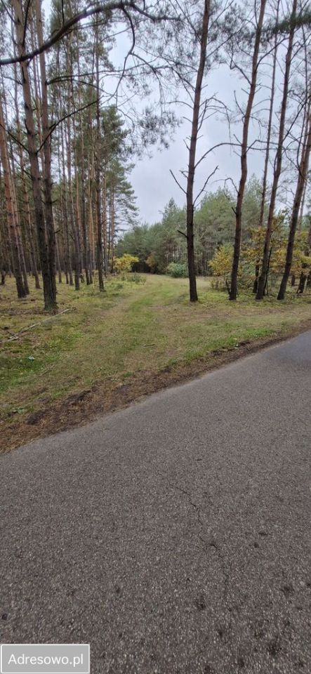 Działka inna Kiciny. Zdjęcie 2