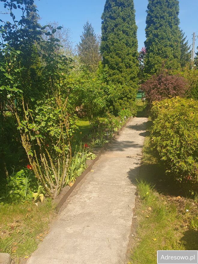 Działka rod Poznań, ul. Pusta. Zdjęcie 13