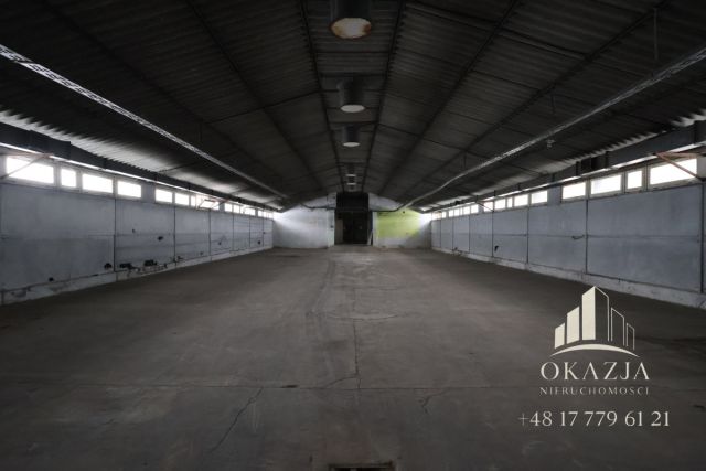 Lokal Wysoka Głogowska. Zdjęcie 8