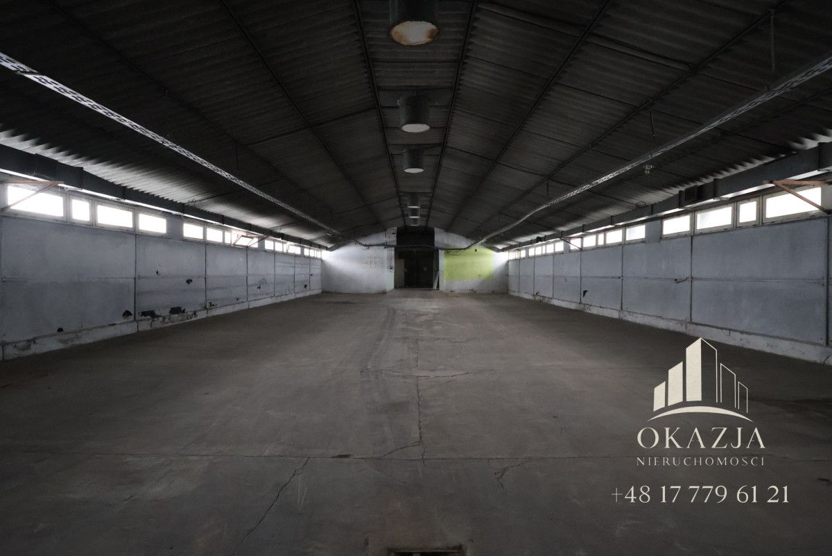 Lokal Wysoka Głogowska. Zdjęcie 8