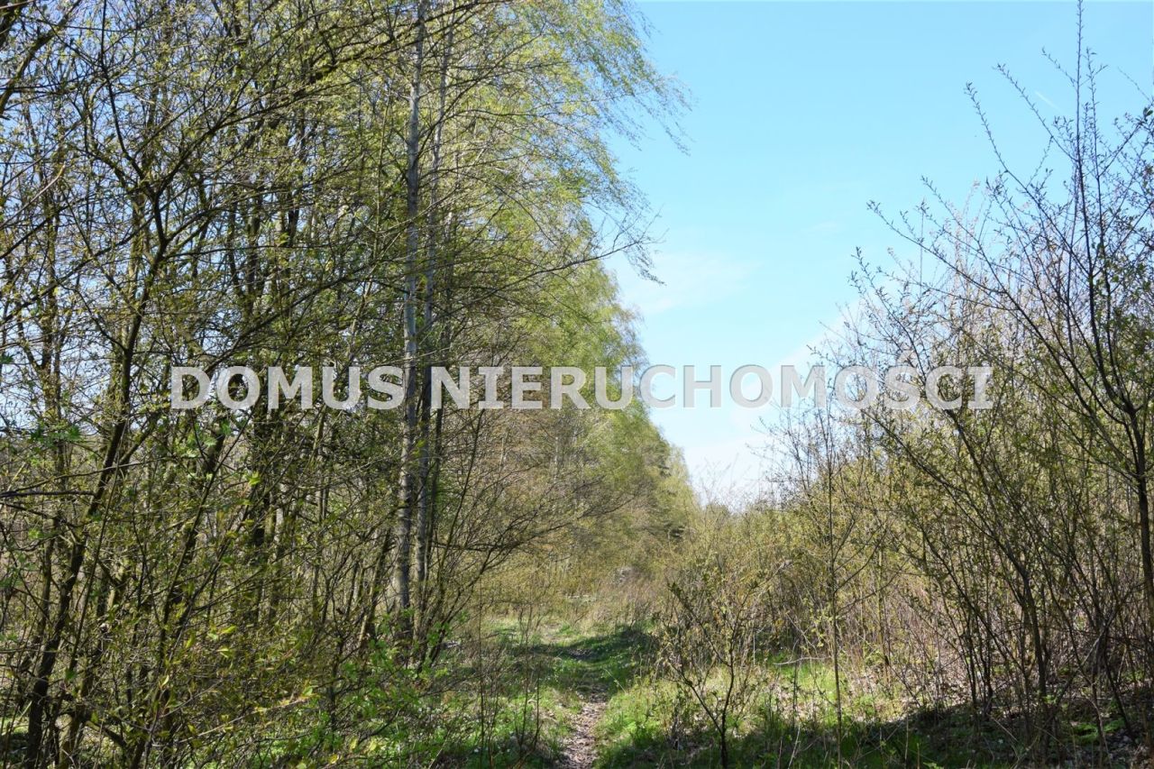 Działka leśna Grębosze. Zdjęcie 2