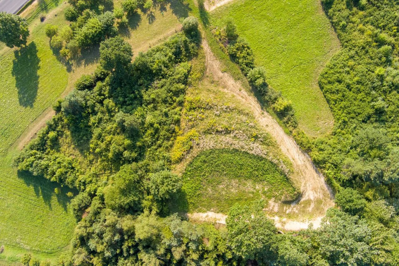 Działka rolno-budowlana Hoczew. Zdjęcie 2