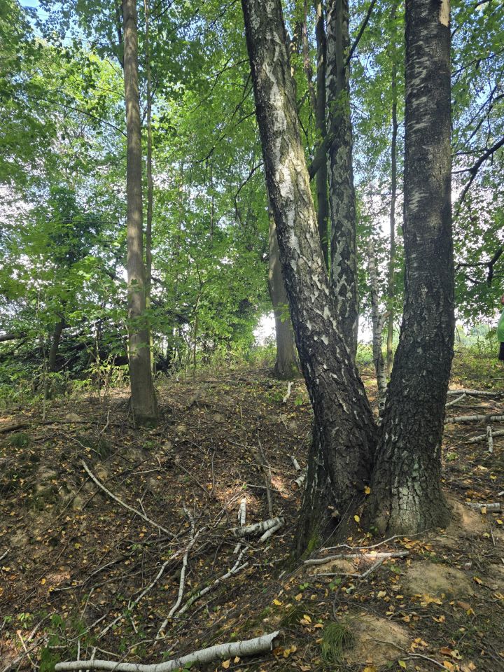 Działka rolno-budowlana Stok. Zdjęcie 9