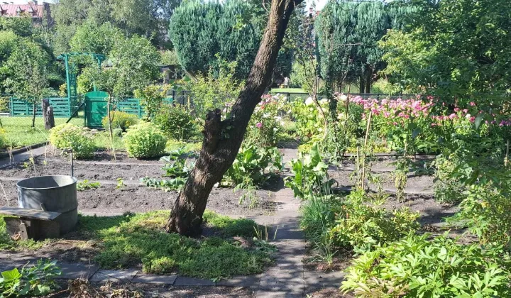 Działka rod Zabrze, ul. Końcowa
