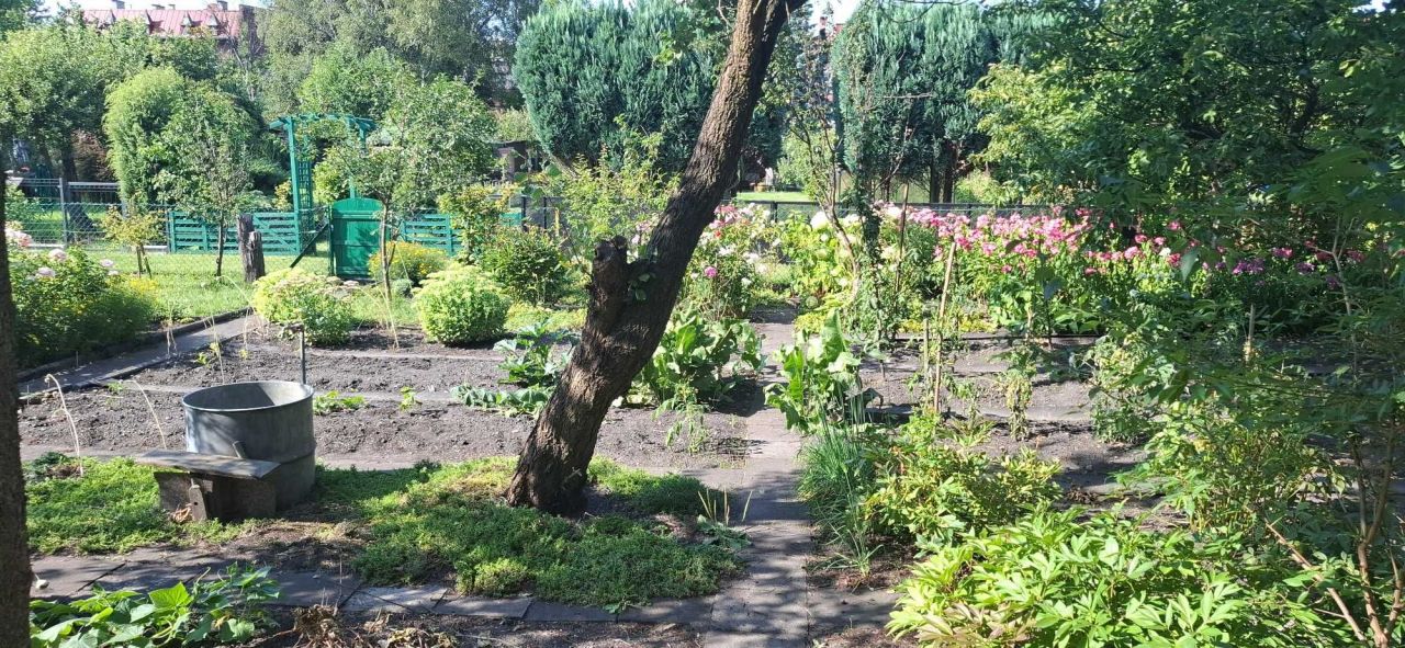 Działka rod Zabrze, ul. Końcowa. Zdjęcie 1