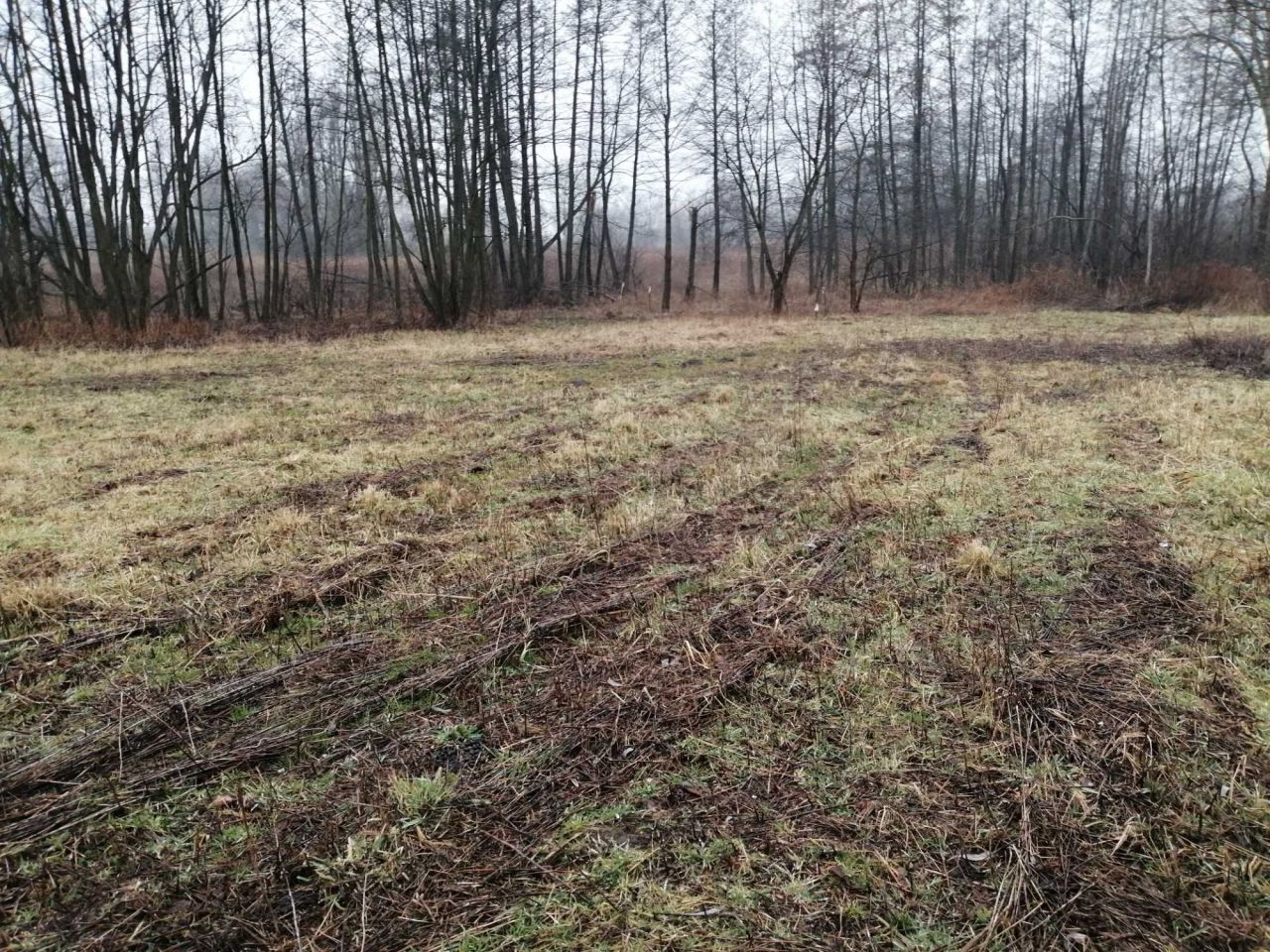 Działka rolna Siedleszczany. Zdjęcie 3