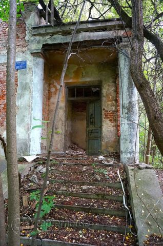 dworek Dąbrowica. Zdjęcie 6