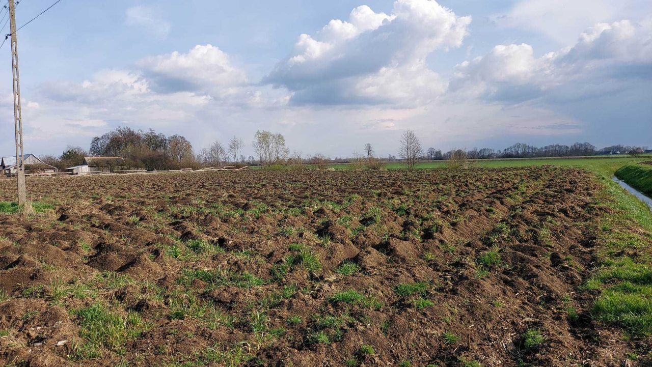 Działka rolno-budowlana Niwki. Zdjęcie 5