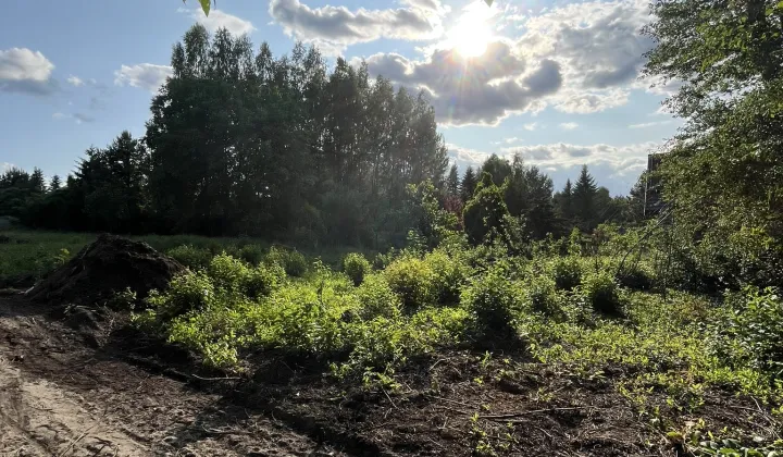 Działka budowlana Zofiówka, ul. Kolorowa