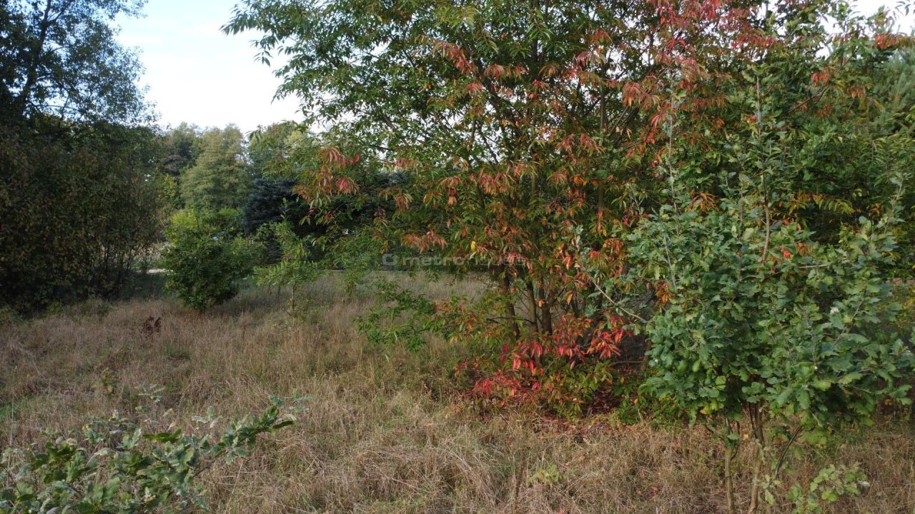 Działka rekreacyjna Popowo-Parcele. Zdjęcie 9