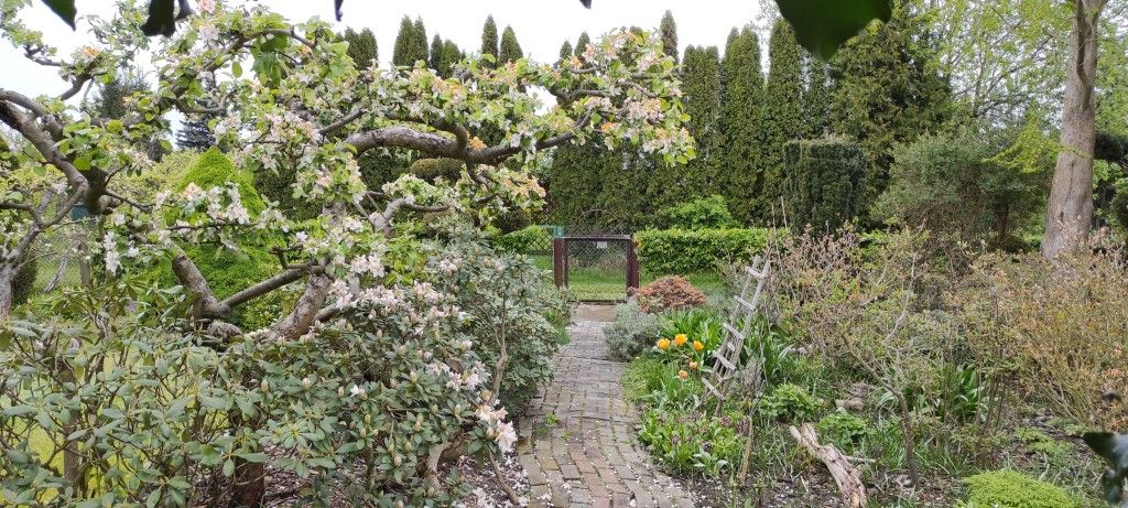 Działka rod Mokra Prawa. Zdjęcie 8