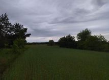 Działka rolna Świerczyna. Zdjęcie 3