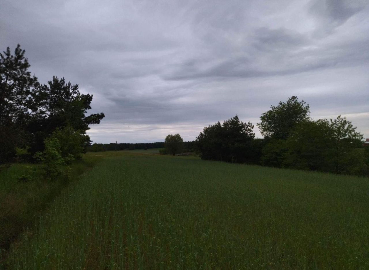 Działka rolna Świerczyna. Zdjęcie 4