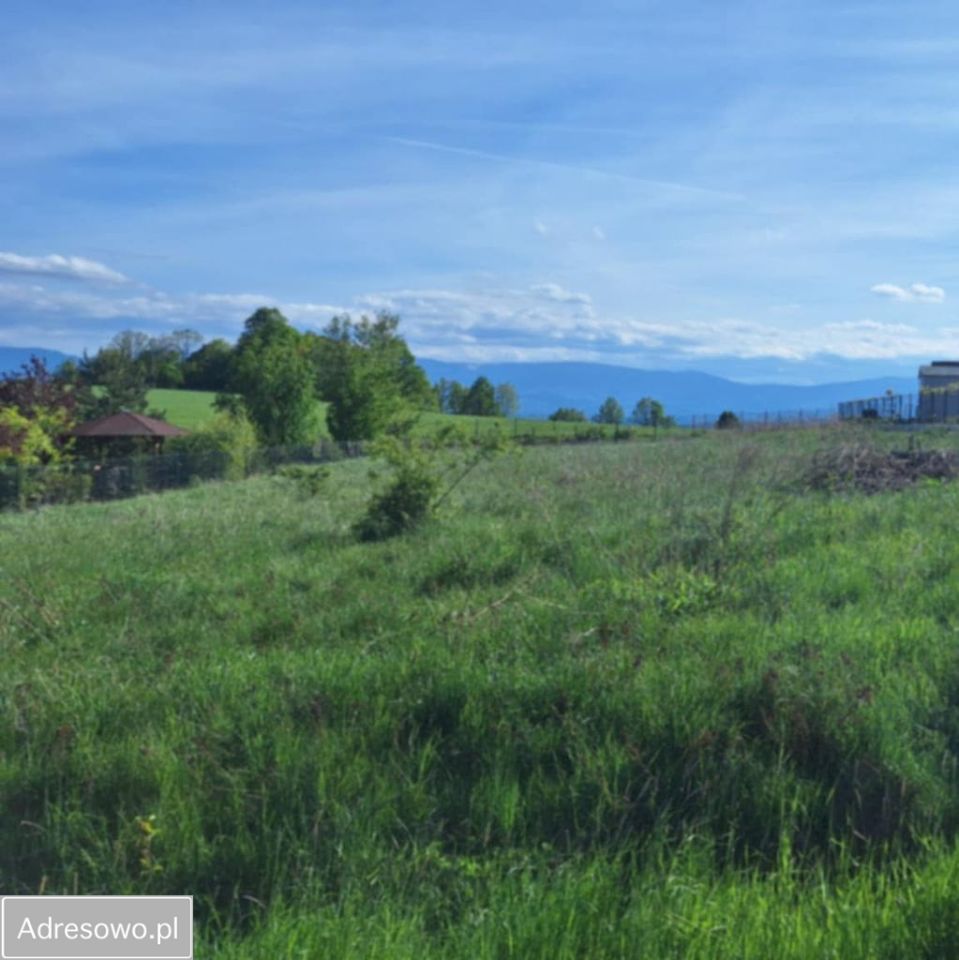Działka budowlana Dziwiszów, ul. Podgórska. Zdjęcie 2