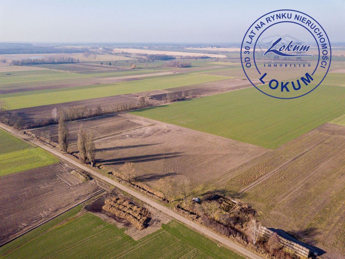 Działka siedliskowa Przybyszewo. Zdjęcie 7