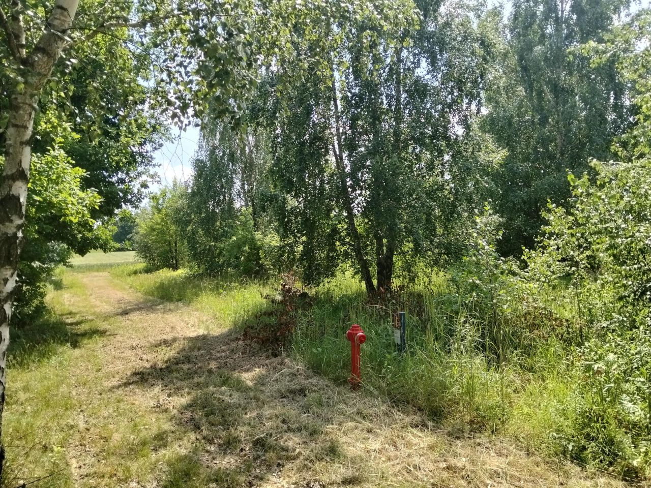 Działka budowlana Józefów, Józefów. Zdjęcie 3