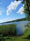 Działka budowlana Wymysłowo. Zdjęcie 4