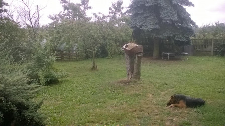 siedlisko, 3 pokoje Głuchów
