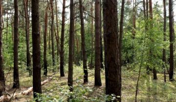 Działka budowlana Józefów Michalin, ul. Księdza Malinowskiego