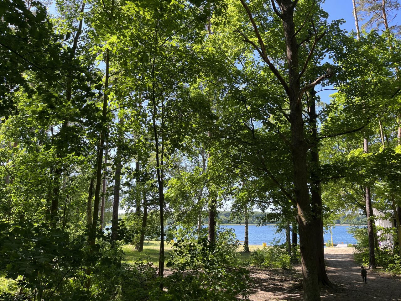 dom letniskowy, 2 pokoje Międzyrzecz. Zdjęcie 4