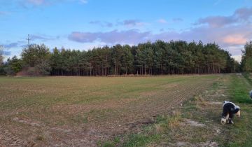 Działka budowlana Dzierżenin