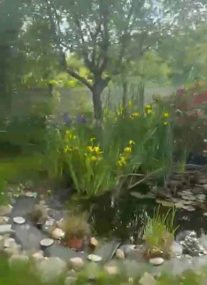 Działka rod Gliwice Wójtowa Wieś, ul. Ku Dołom. Zdjęcie 19