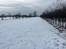 Działka rolna Dziecinów. Zdjęcie 1