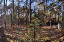 Działka leśna Rosanów, ul. Zielona. Zdjęcie 3