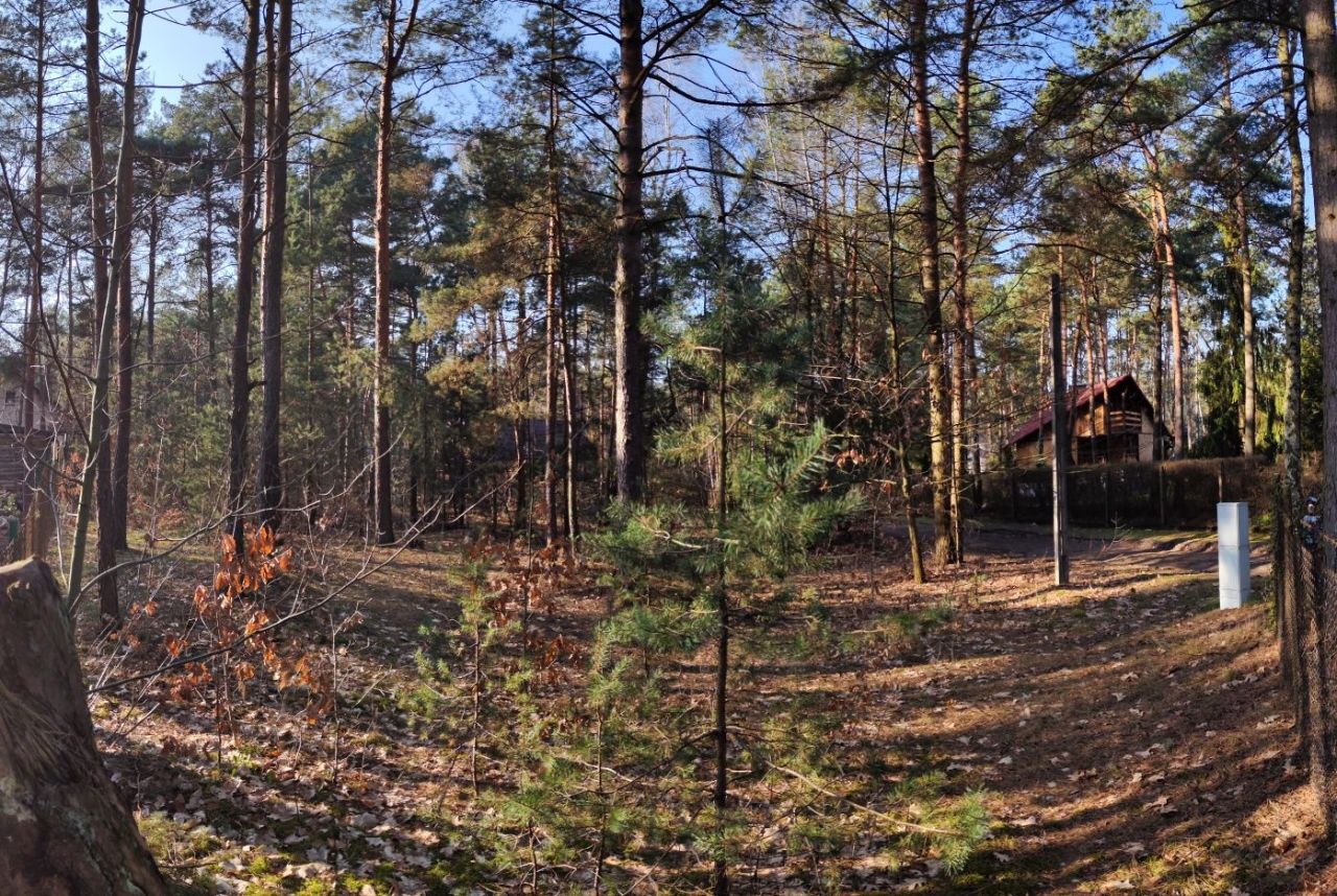 Działka leśna Rosanów, ul. Zielona. Zdjęcie 4