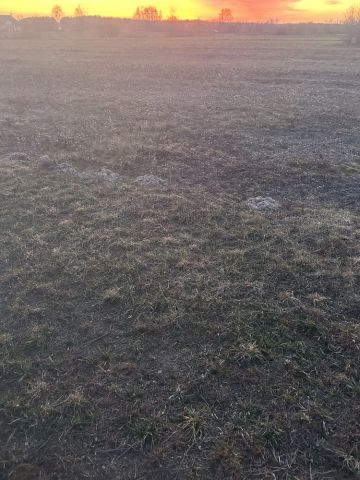 Działka budowlana Wola Rasztowska. Zdjęcie 1