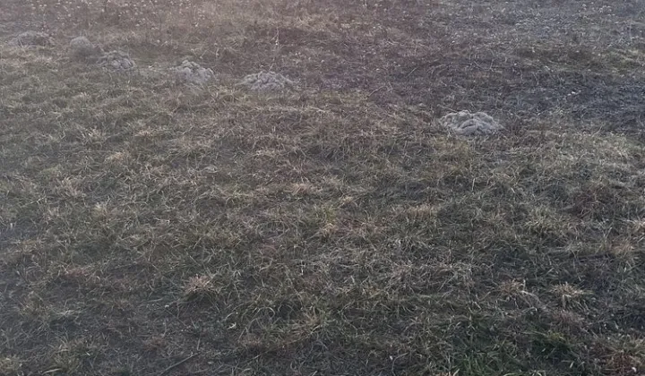 Działka budowlana Wola Rasztowska