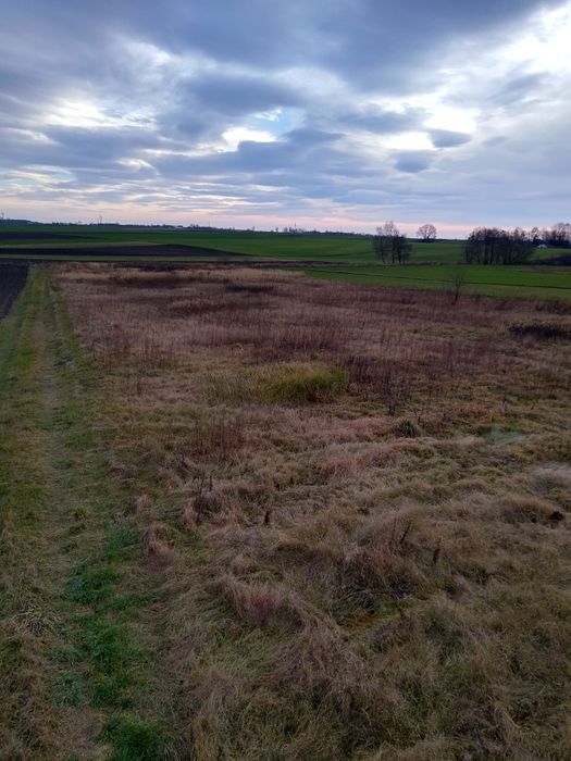 Działka budowlana Potok Wielki. Zdjęcie 2