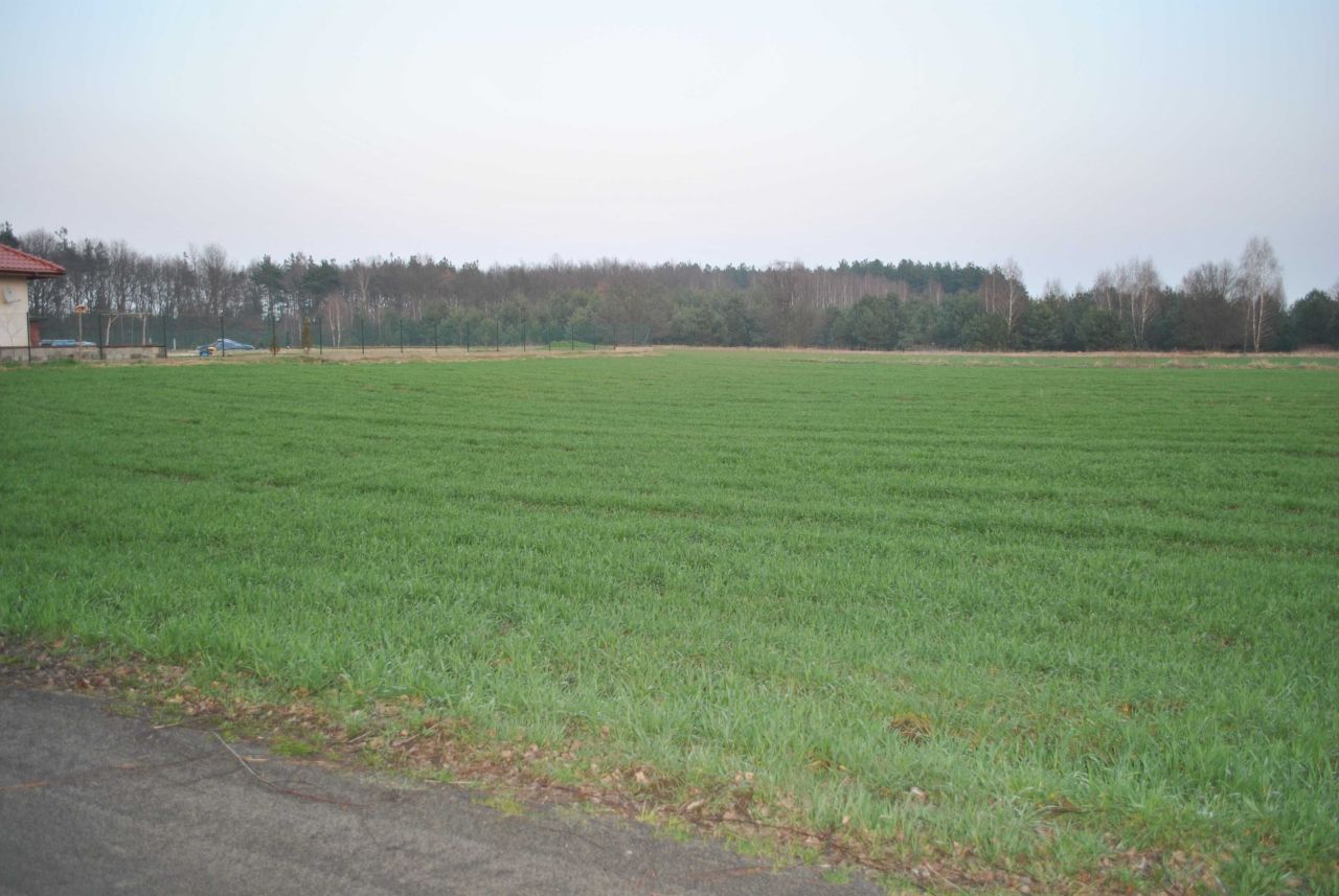 Działka budowlana Gutowo, ul. Myśliwska. Zdjęcie 2
